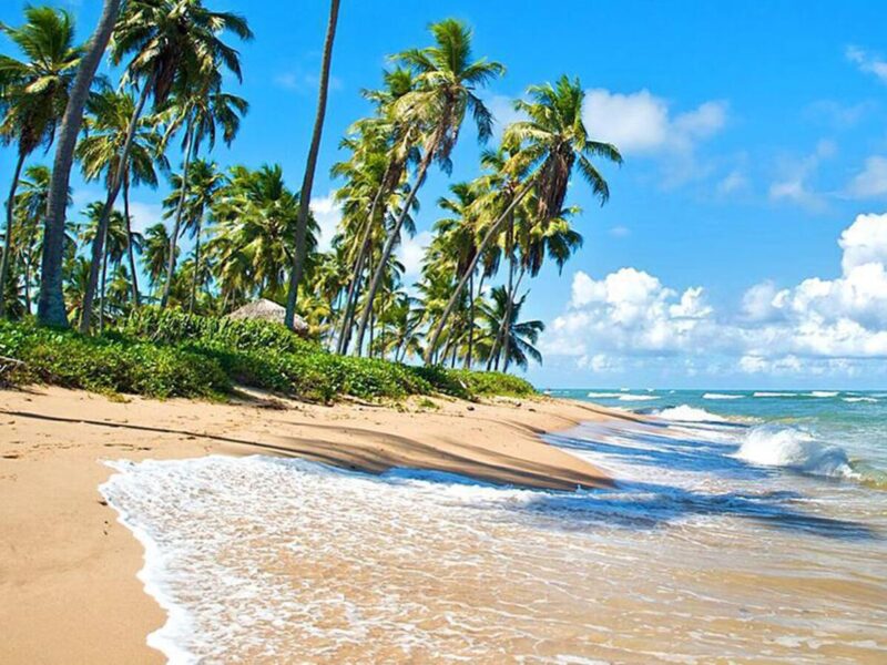 praia do forte brasil
