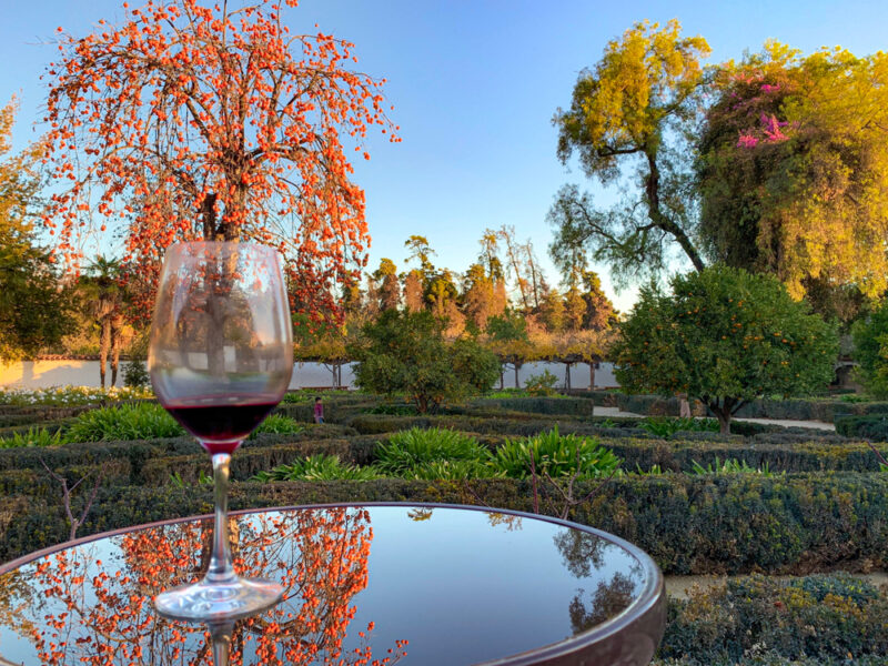 copa-de-vino-en-vina-santa-rita