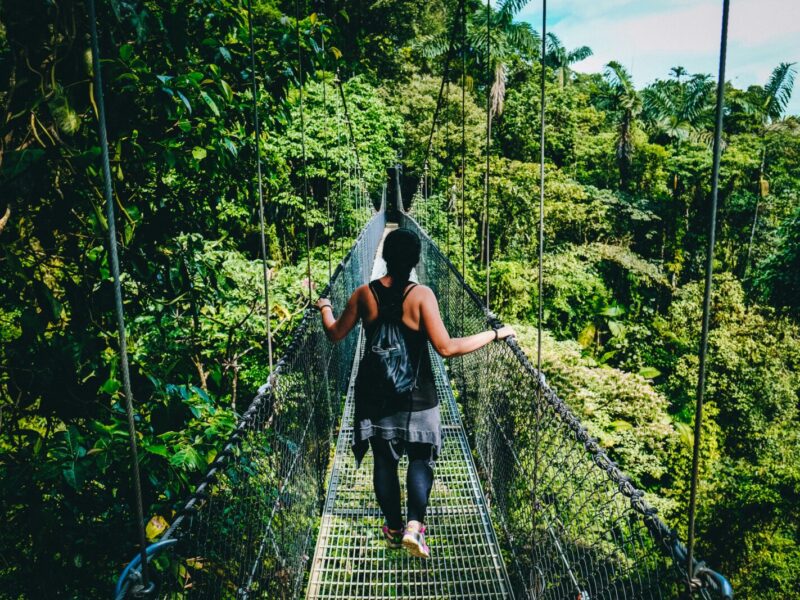 fabio-fistarol-wuQ-lu8roR4-unsplash