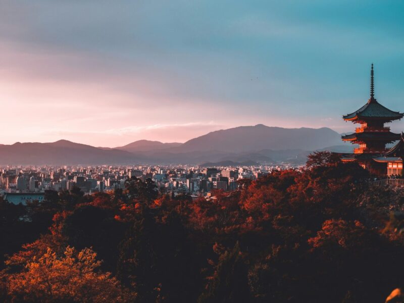 su-san-lee-E_eWwM29wfU-unsplash